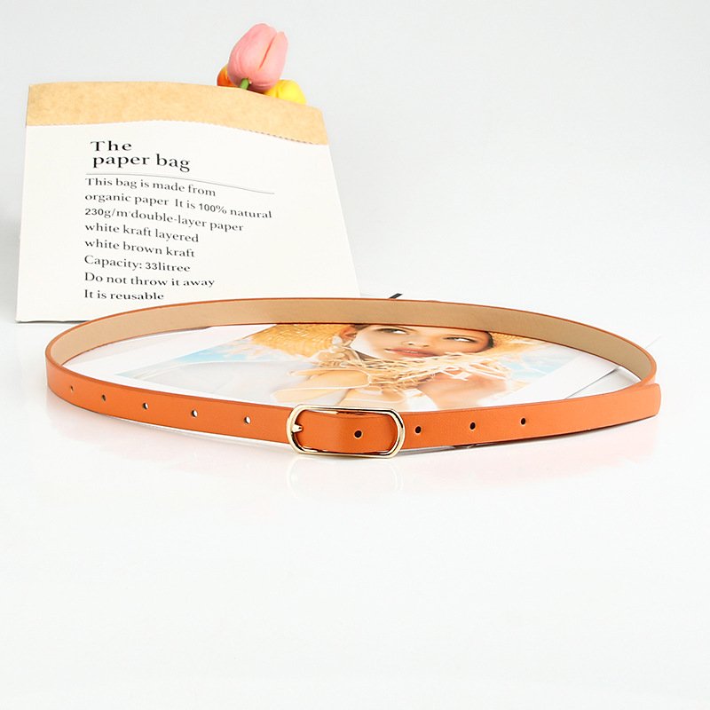 Multi Colored Ladies Belt Trim Dress