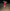 Red alert with mini dress