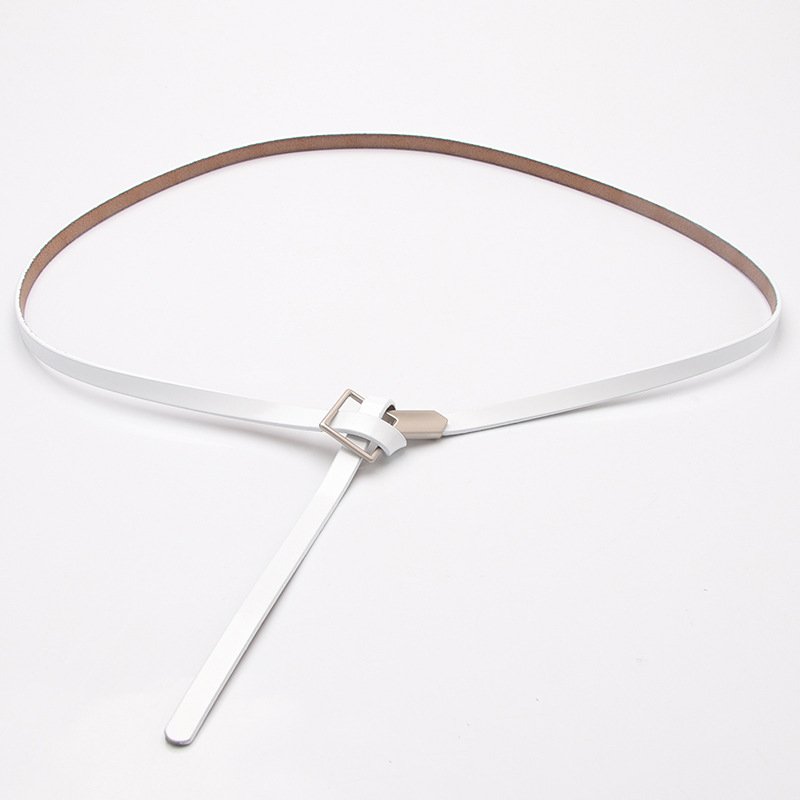 Elegant Thin Dress Belt