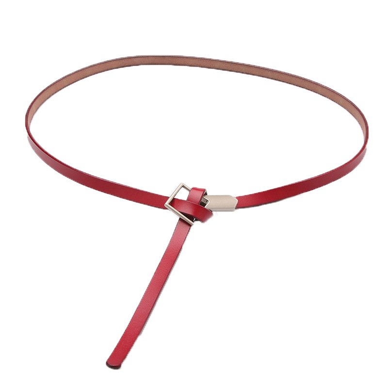 Elegant Thin Dress Belt