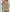 Karol apple green skirt short set