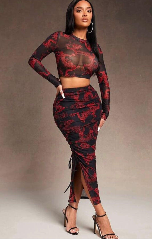 Uganda Mesh top & skirt set