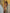 Stay gold with Ariana sexy metallic Maxi dress