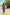 Denisse print long pant set