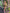 Thai military green matching set