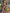 Thai military green matching set