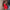 Sagittarius strapless short dress