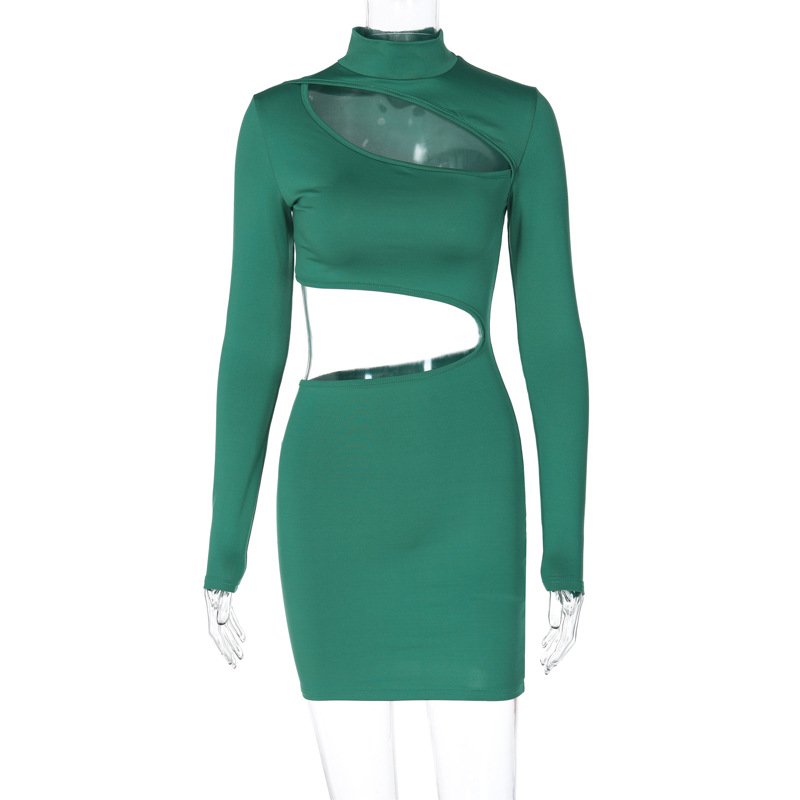 Long Sleeve Dress With Fitted Turtleneck