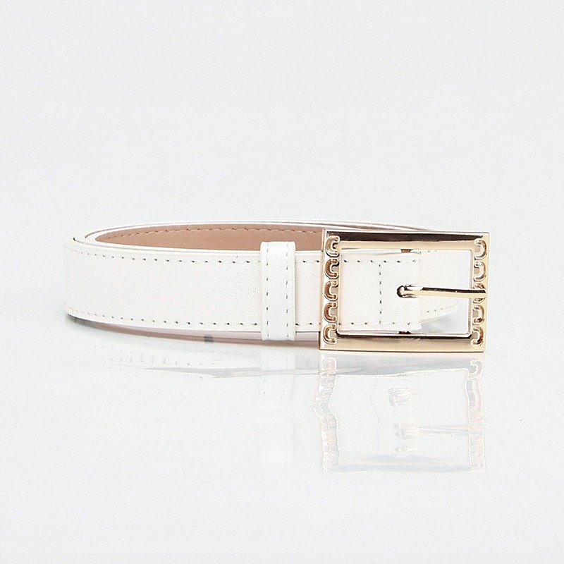 Multicolor Belt With Golden Square Buckle