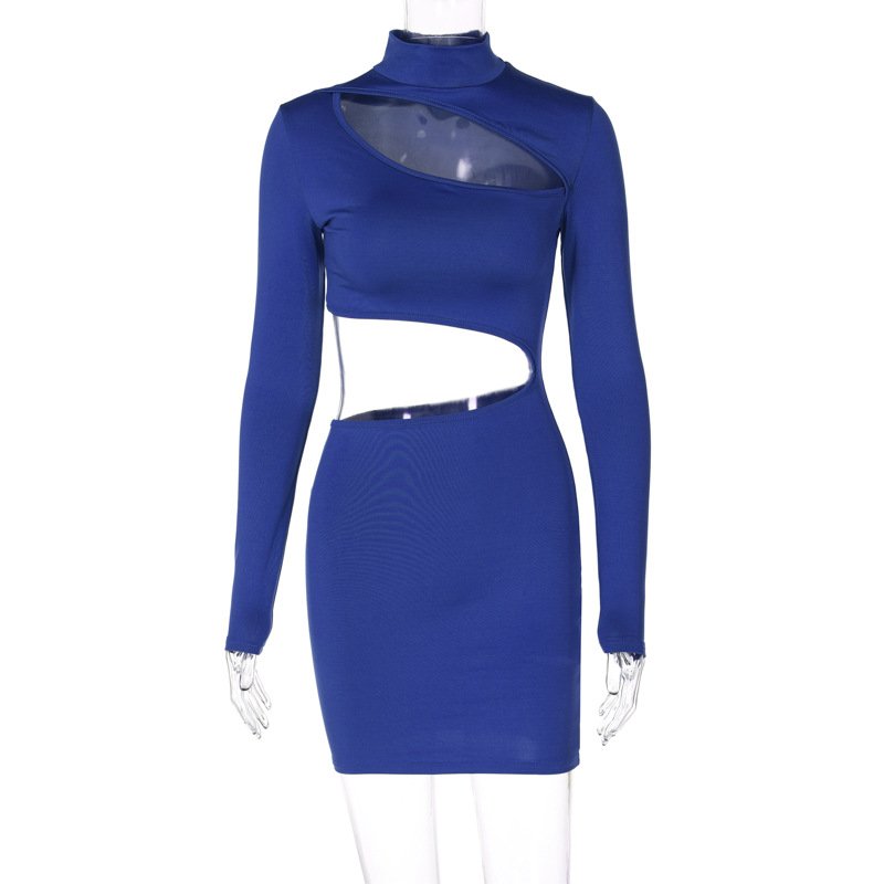 Long Sleeve Dress With Fitted Turtleneck